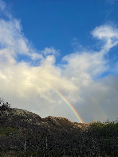 Photo collage image 1